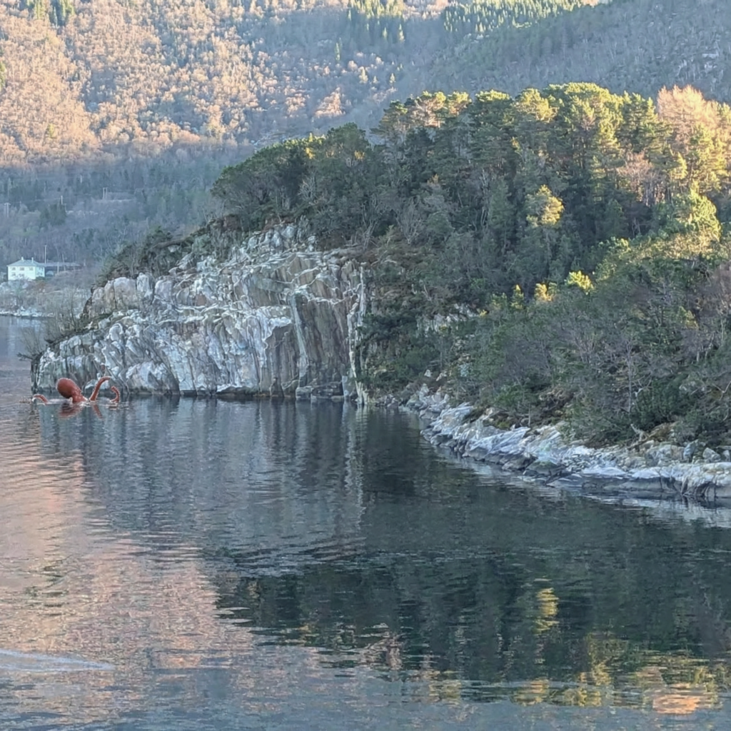 Mørkeraud blekksprut